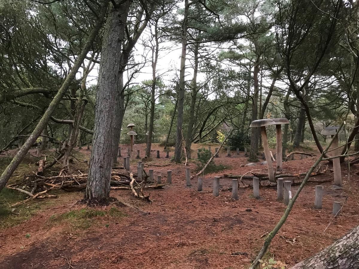 Gulirisvej Havneby Romo Daire Rømø Kirkeby Dış mekan fotoğraf